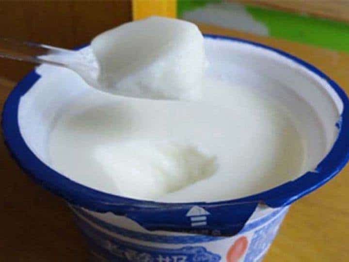 plain yogurt processing with the probiotic
