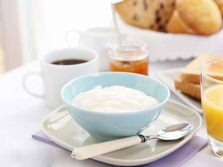 plain yogurt made by yogurt maker machine