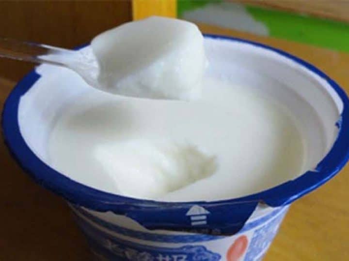 plain yogurt processing with the probiotic