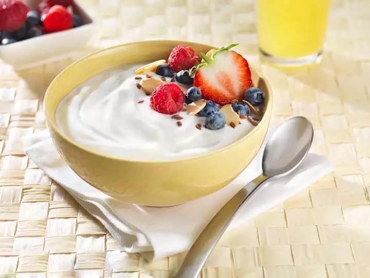 processed yogurt